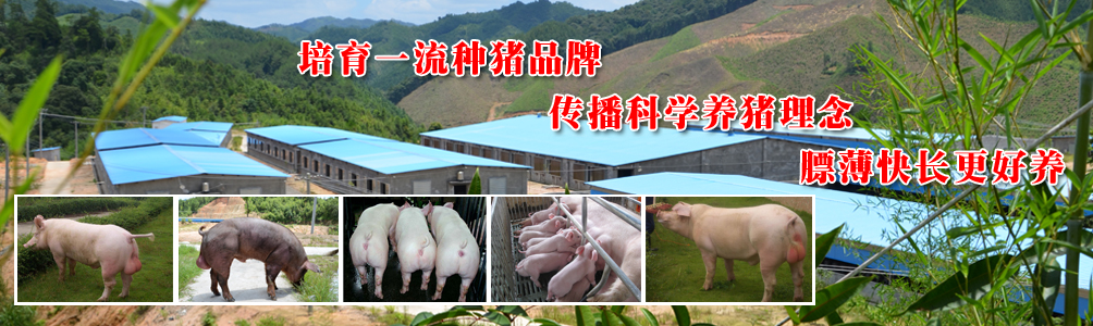 耐磨地坪工程